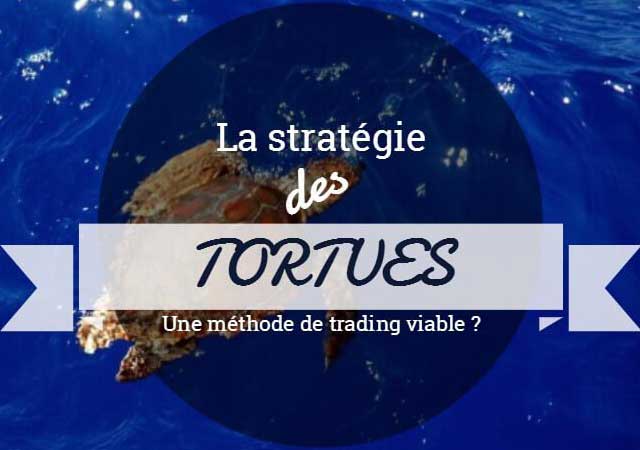 La stratégie des tortues : un moyen efficace de gagner sur le forex ?