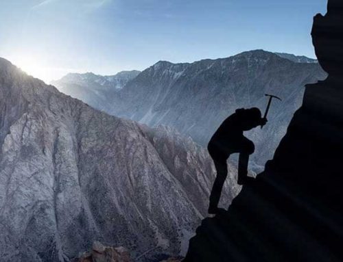 Gagner sur le forex : 7 conseils pour réussir
