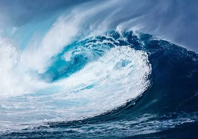 Utiliser la théorie des vagues d'Elliott